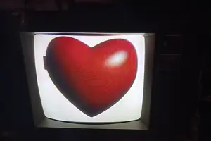 1675315526326-0.webm