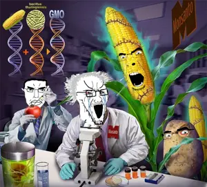 gmo jaks.png