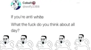 VID_20230212_235243_469.mp4