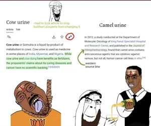 bernd, chudjak, cobson, soyak, soyak (laughing), 4soyjaks, animal, arab, arabic text, bald