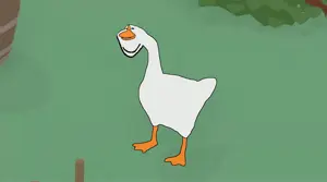 goose.jpg