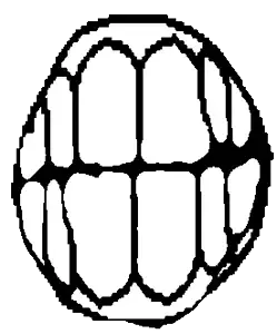 feraljak, accessory, clenched teeth, disembodied, gums, mouth, no beard, no glasses, not a soyjak, open mouth