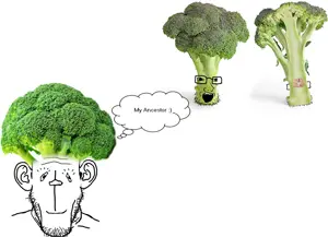 markiplier soyjak, soyak, 2soyjaks, broccoli, ear, food, foodjak, glasses, my ancestor, open mouth