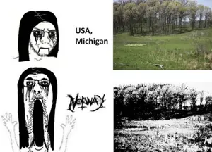 a24 slowburn soyjak, james youniverse, soyak, thing japanese, arm, black metal, concerned, country, frown, glasses