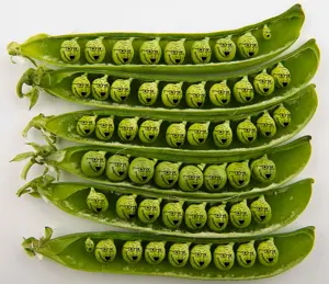 soyak, fruiterz!, food, fruit, glasses, multiple soyjaks, open mouth, pea, soyjak, stubble