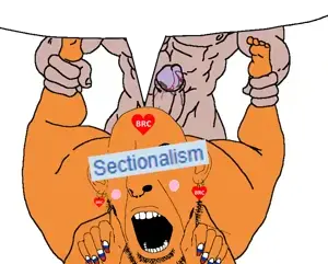 sectionalism3.png