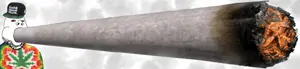 kush and haze and skunk.png
