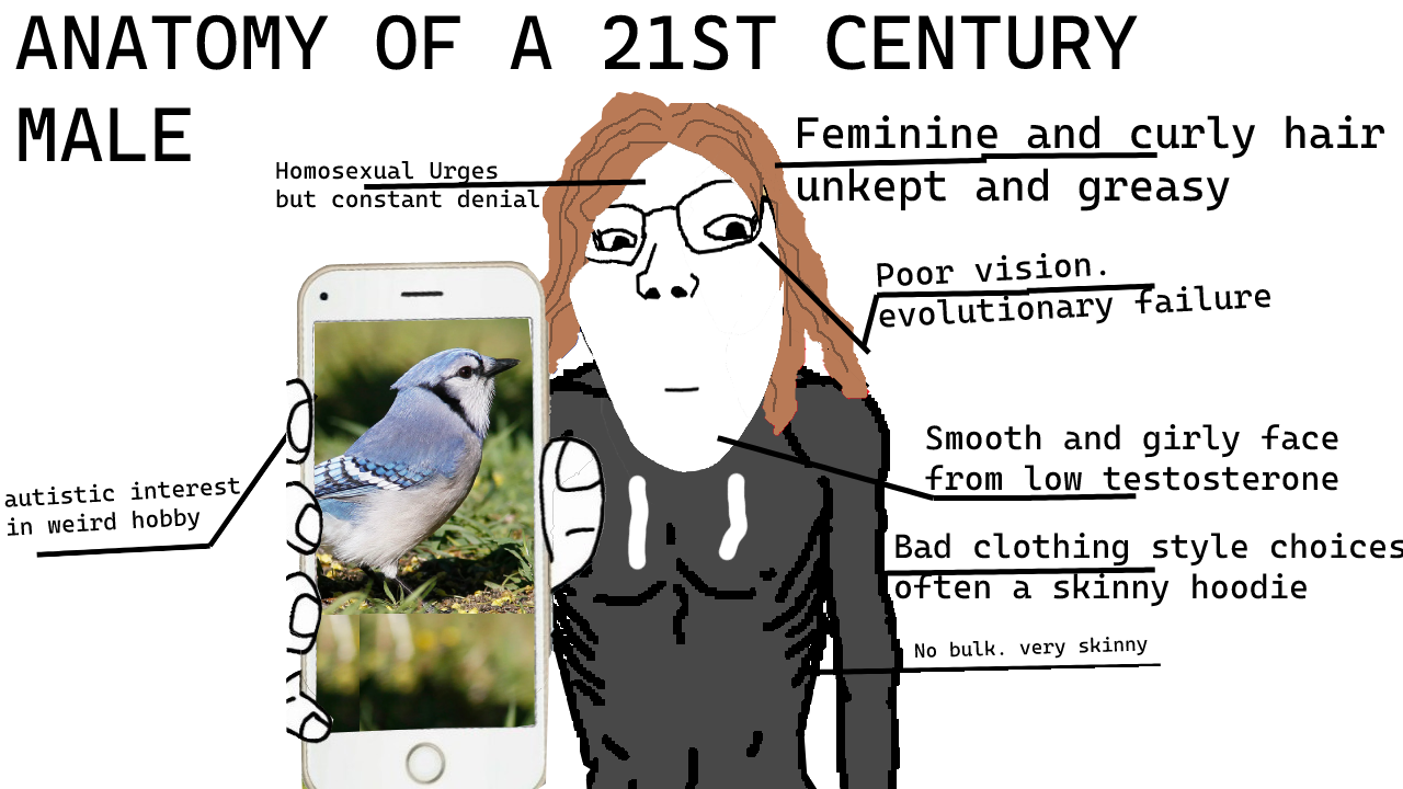 gapejak, 21st century, anatomy, animal, autism, bird, blonde hair, brown hair, closed mouth, clothes