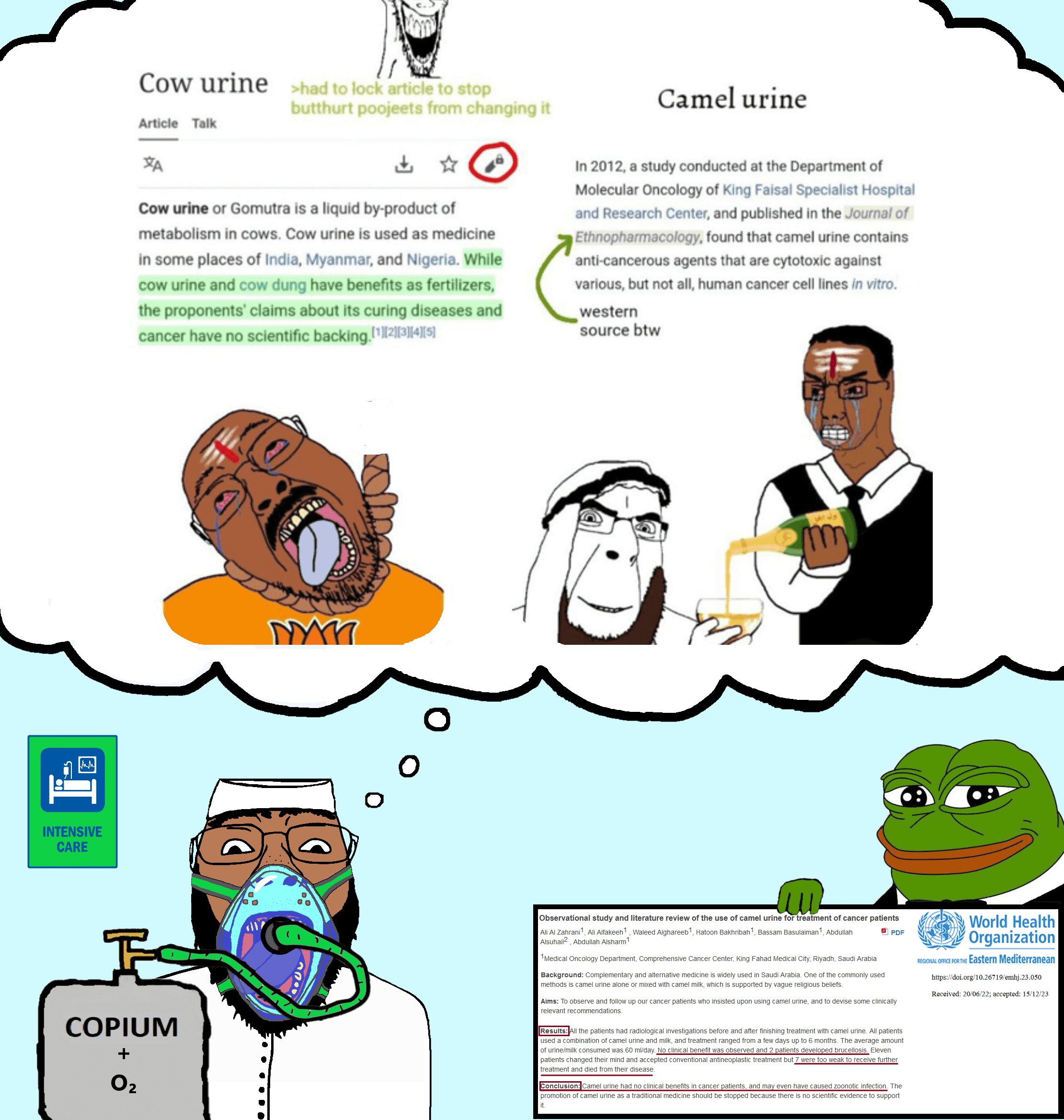 pepe, bernd, chudjak, cobson, soyak, hanging troonjak, troonjak, 4soyjaks, ack, amphibian