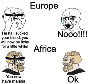 4346.jpg