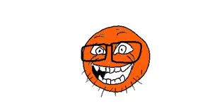 1685196050088.png