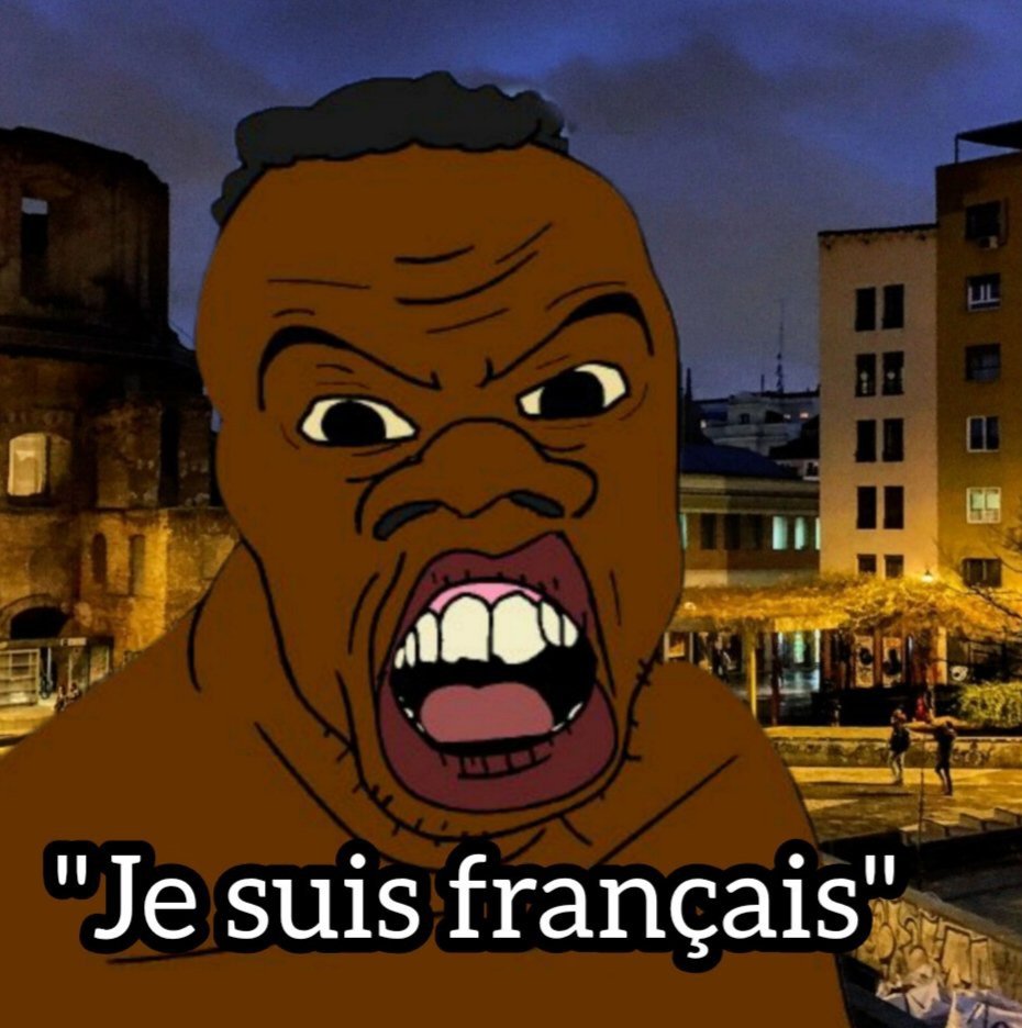 feraljak, feralnigger, angry, big lips, black skin, france, french text, hair, irl background, je suis français