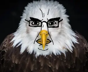 chud eagle.png