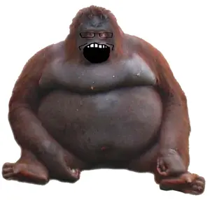 Screen Shot 2023-06-18 at 3.35.44 pm.png