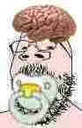 gapejak, baby, brain, pacifier, small eyes