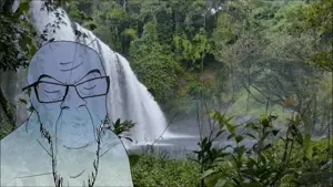 feraljak, animated, blue skin, calm, closed eyes, closed mouth, glasses, nature, smile, soyjak