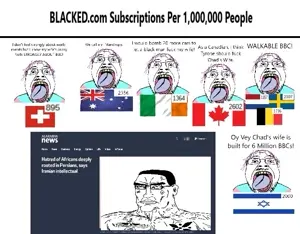 7tm538.jpg