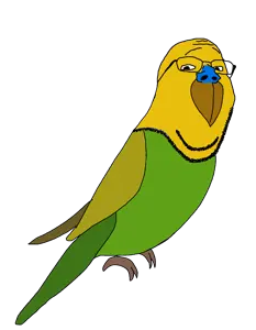 Budgie.png
