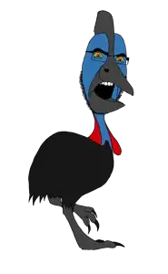 cassowary.png