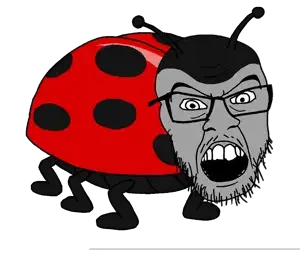 ladybug.png