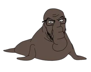 elephantseal.png