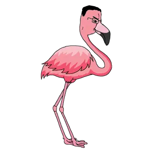 flamingo.png