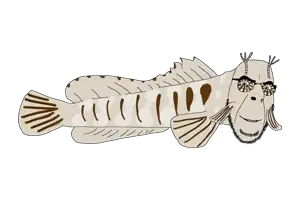 cobson, animaljaks, animal, blenny, fin, fish, full body, glasses, smile, soyjak