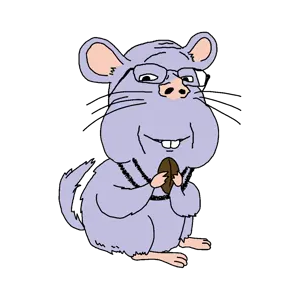 chinchilla.png