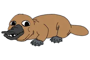 Platypus.png