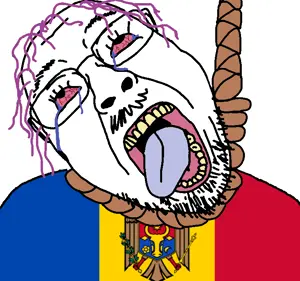 5003.jpg