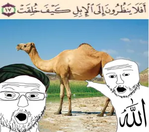 two pointing soyjaks, allah, arabic text, beard, camel, glasses, looking at you, open mouth, quran, text