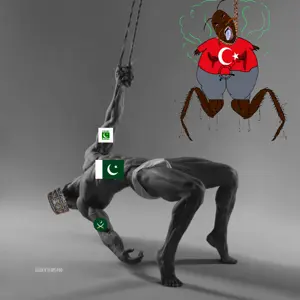 gigachad, bernd, colonialism, country, flag, pakistan, total paki victory, turkey, turkroach, pakistan