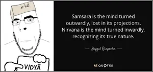 [Cobson fact] Soygal Rinpoche.png