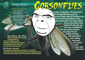cobsonfly.png