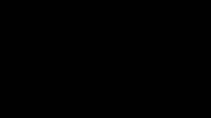 trooner of everything compressed.mp4