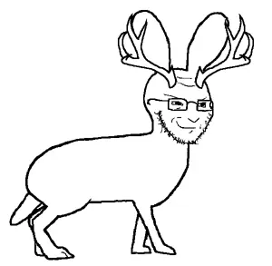 5682.jpg