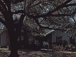 lv_0_20231031084107.mp4