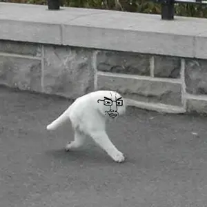 chudjak, animal, cat, cat ears, ear, ears, face, face only, glasses, irl background