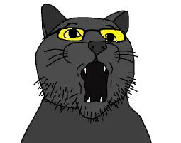 sootcat.png
