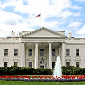 donald trump, excited soyjak, animated, arm, blonde hair, building, clothes, excited, flag, flower