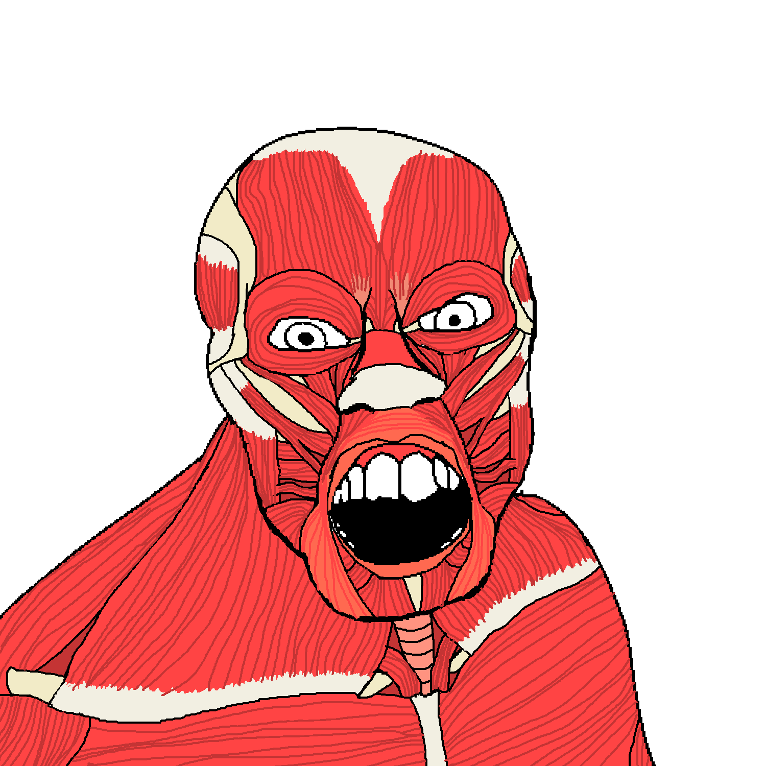 feraljak, bone, bones, buff, exposed muscle, flesh, looking at you, muscles, no beard, no eyebrows
