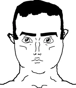 chudjak, chudjak front, anime, ear, hair, looking at you, white background, jojo's bizarre adventure