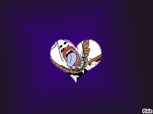 6384.webm