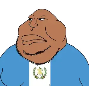 meximutt, brown skin, closed mouth, countrywar, fat, flag, guatemala, obese, soyjak, stubble