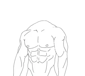 torso.png