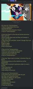 4Chan_-_Trannymaniacs.webm