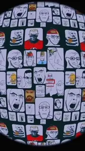 VID_43030316_010627_849.mp4