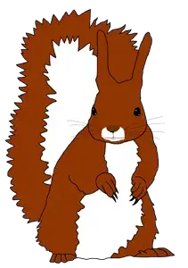 feraljak, squirreljak, feralsquirrel, squirreljak, animal, brown fur, claws, ear, full body, squirrel