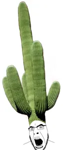 cobson, cactus, clothes, echinopsis pachanoi, glasses, hat, open mouth, plant, saint peter cactus, soyjak