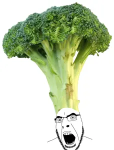 cobson, fruiterz!, broccoli, clothes, food, foodjak, fruit, glasses, hat, open mouth